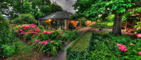 Book Mole Creek Accommodation Vacations Accommodation Port Macquarie Accommodation Port Macquarie