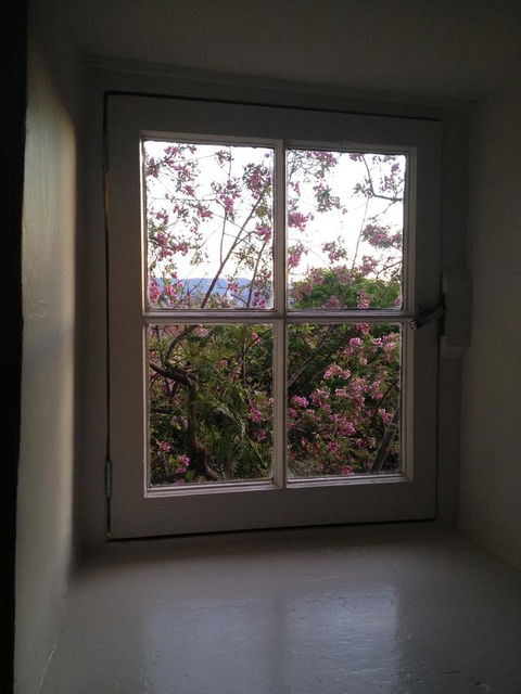 Blue Magnolia - Accommodation Port Macquarie 36