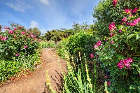Wagners Cottages - Accommodation Port Macquarie 30