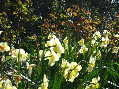 Wagners Cottages - Accommodation Port Macquarie 13