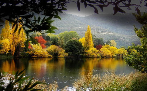 Platypus Playground Riverside Cottage - Accommodation Port Macquarie 15