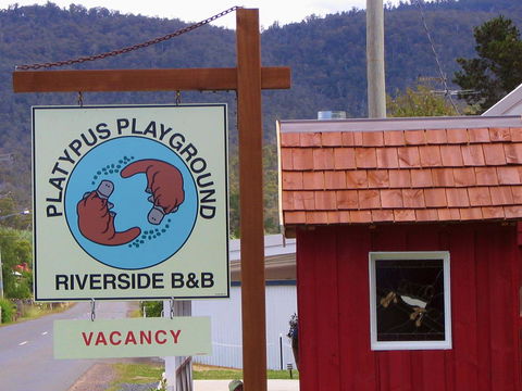 Platypus Playground Riverside Cottage - Accommodation Port Macquarie 21