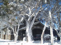 Book Dinner Plain Accommodation Vacations Accommodation Port Macquarie Accommodation Port Macquarie