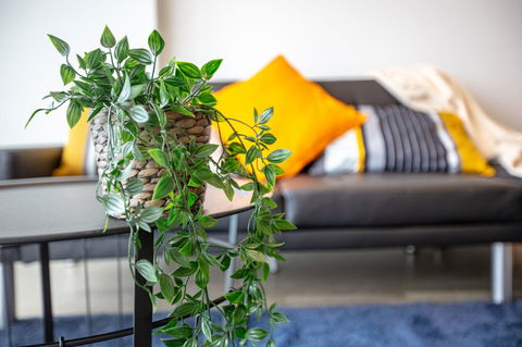 Brand New One/Two - Bed Room Apartment @ Maribyrnong - Accommodation Port Macquarie 0