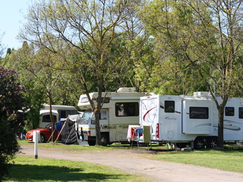 Tasman Holiday Parks - Geelong - Accommodation Port Macquarie 21