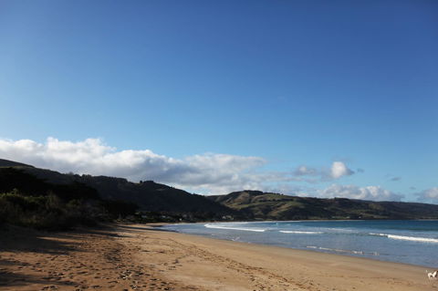7 Falls Apartments - Accommodation Port Macquarie 0