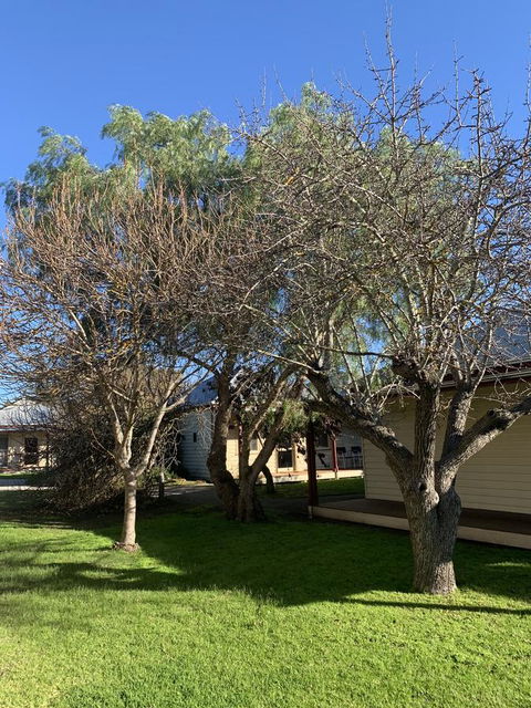 Dunkeld Studio Accommodation - Accommodation Port Macquarie 4