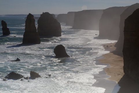 The Dolphin Apartments - Accommodation Port Macquarie 10