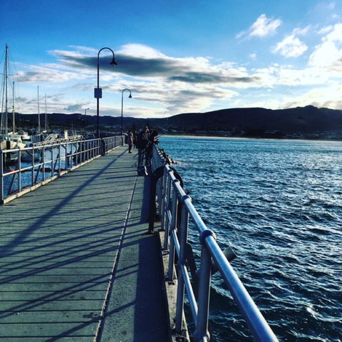 The Dolphin Apartments - Accommodation Port Macquarie 16