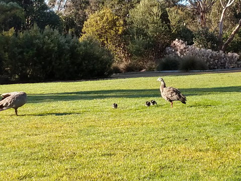 Rural 5 Star Villa\'s With Resort Amenities - Accommodation Port Macquarie 7