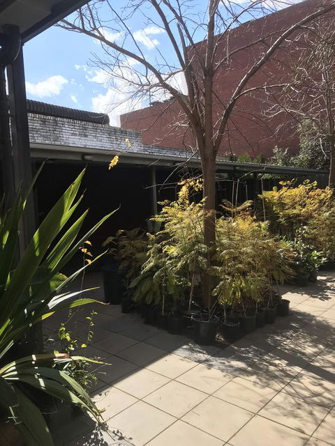 CROWN CENTRAL BUSINESS DISTRICT MOTEL - NO UNDER 18s - Accommodation Port Macquarie 15