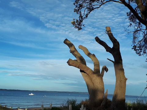 Apartments In Phillip Island Towers - Block C - Accommodation Port Macquarie 10