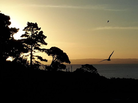 Apartments In Phillip Island Towers - Block C - Accommodation Port Macquarie 19