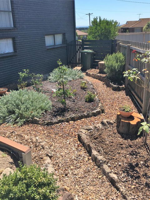 The Cosy Bungalow - Accommodation Port Macquarie 14