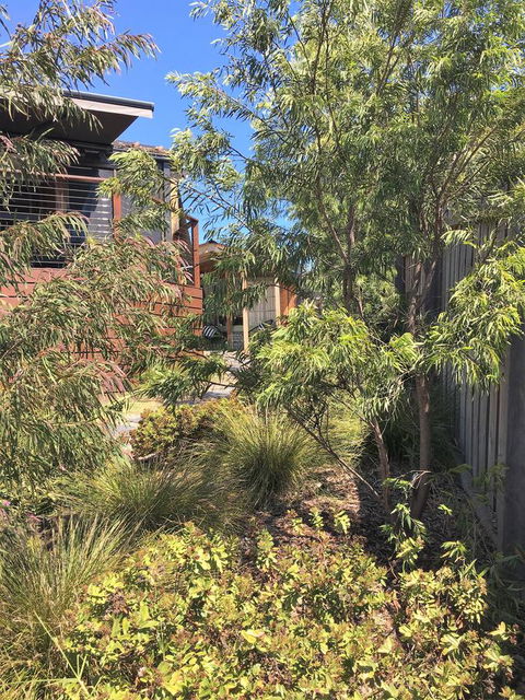The Cosy Bungalow - Accommodation Port Macquarie 10