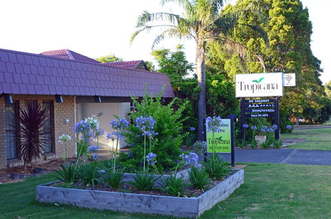 Tropicana Motor Inn - Accommodation Port Macquarie 10