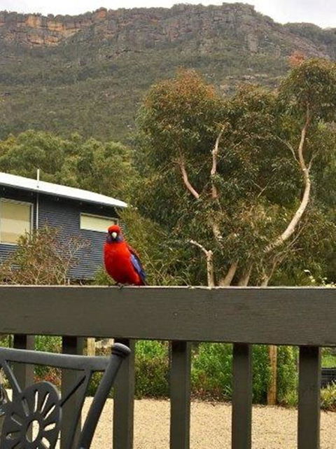 Kangurra Holiday House - Accommodation Port Macquarie 15