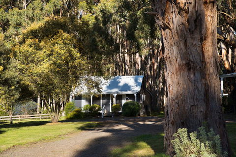 Bodhi Daylesford - Accommodation Port Macquarie 8