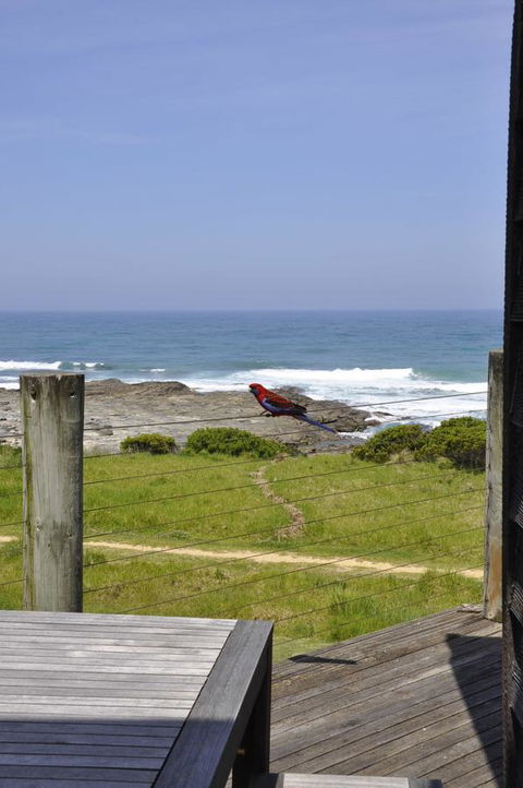 14 Steps - Accommodation Port Macquarie 14