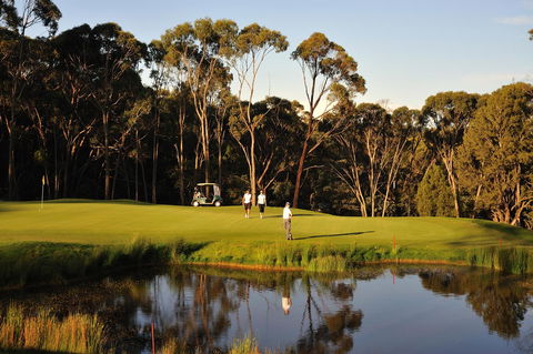 RACV Goldfields Resort - Accommodation Port Macquarie 31