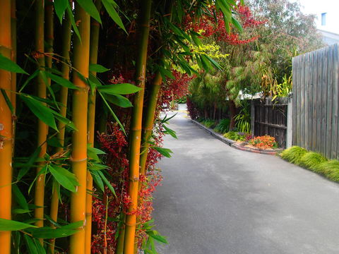 Azen Haven - Accommodation Port Macquarie 14