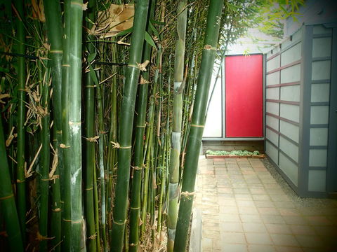 Azen Haven - Accommodation Port Macquarie 13