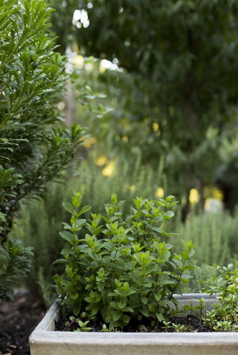 Botanica Editions - Accommodation Port Macquarie 5