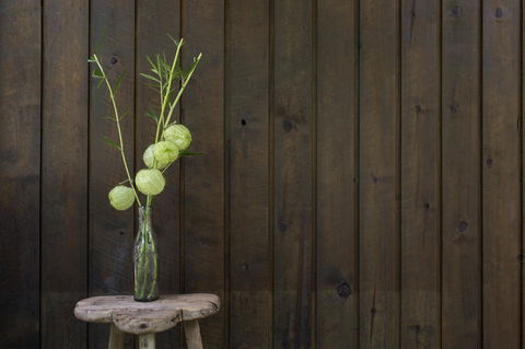 Botanica Editions - Accommodation Port Macquarie 10