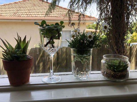 Growse House Yarram 3BR - Accommodation Port Macquarie 10