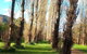 On The Banks - thumb 11