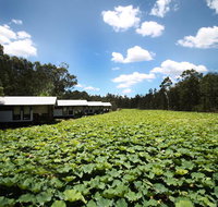 The Boathouses at Leaves  Fishes - Accommodation Port Macquarie