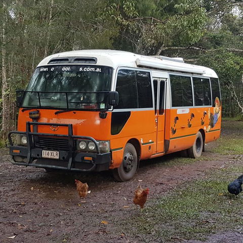 The Cabin - Accommodation Port Macquarie 3