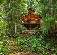 The Canopy Rainforest Treehouses  Wildlife Sanctuary - Accommodation Port Macquarie