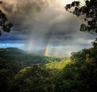 The Den of the Treehouse KINABALU Farm - Accommodation Port Macquarie