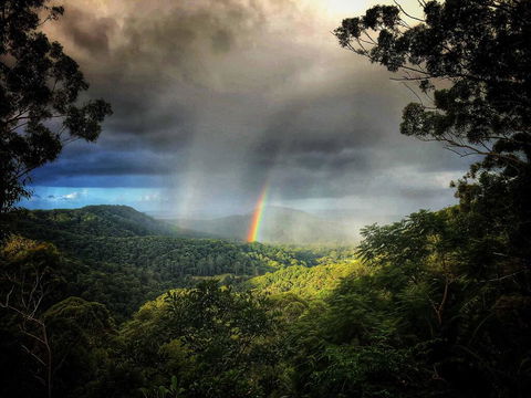 The Den Of The Treehouse, KINABALU Farm - Accommodation Port Macquarie 0