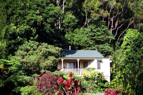 The Falls Montville - Accommodation Port Macquarie 0