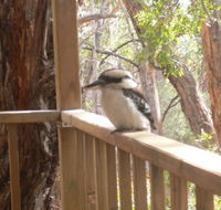 The Ledge Holiday House - Accommodation Port Macquarie