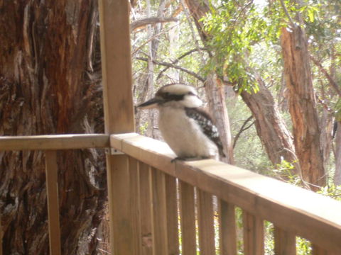 The Ledge Holiday House - Accommodation Port Macquarie 0