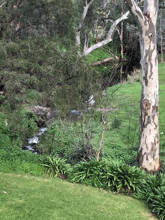 Cockatoo Valley SA Accommodation Port Macquarie