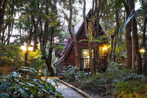 The Mouses House Rainforest Retreat - Accommodation Port Macquarie 1