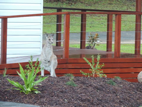 The Pouch B & B - Accommodation Port Macquarie 1