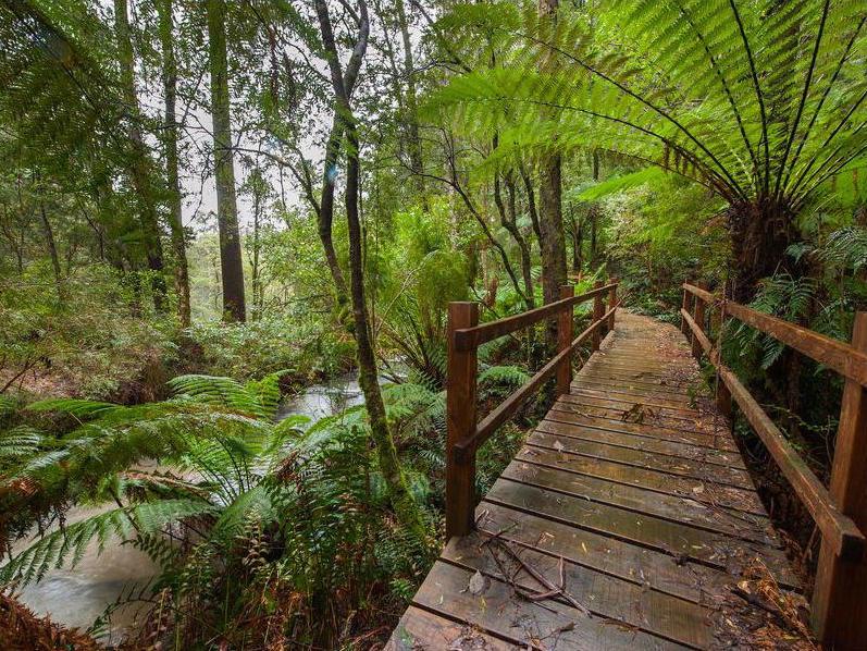 Tanybryn VIC Accommodation Port Macquarie