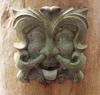 The Tree House - Accommodation Port Macquarie