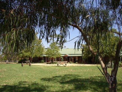 The Vineyard Motel - Accommodation Port Macquarie 0