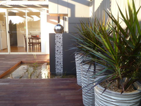 The Wet Lizard - Accommodation Port Macquarie 0