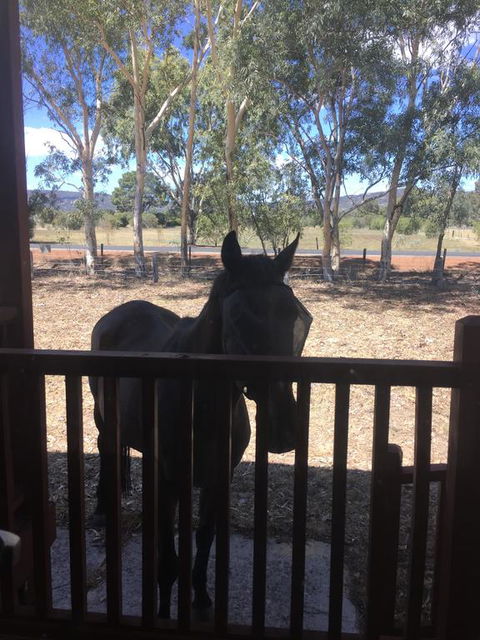 Thie My Chree Retreat - Accommodation Port Macquarie 3