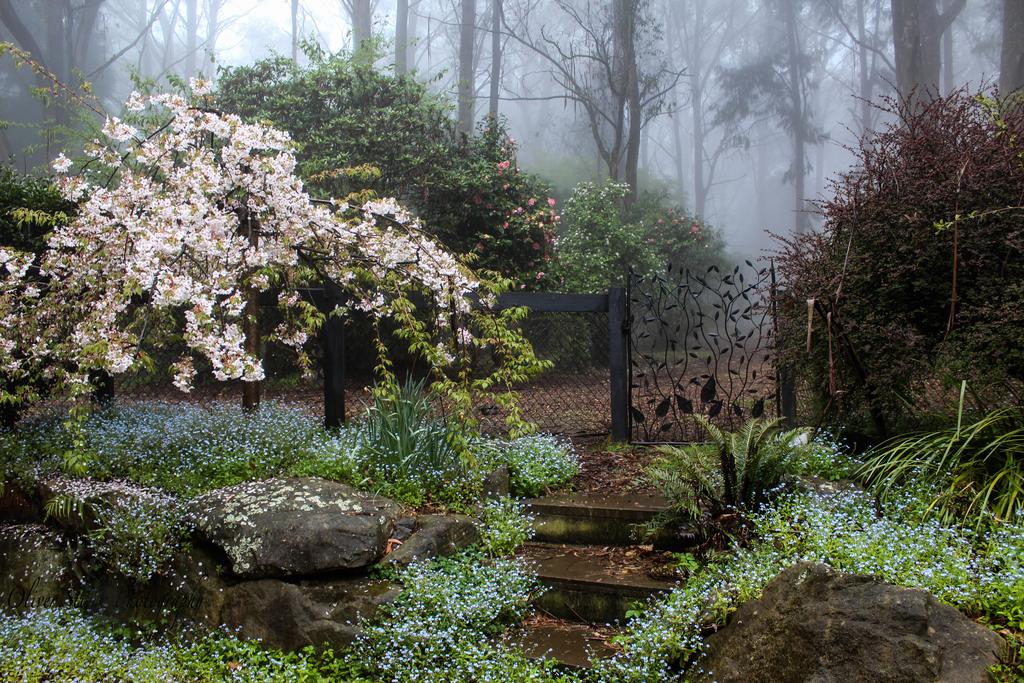 Mount Tomah NSW Accommodation Port Macquarie