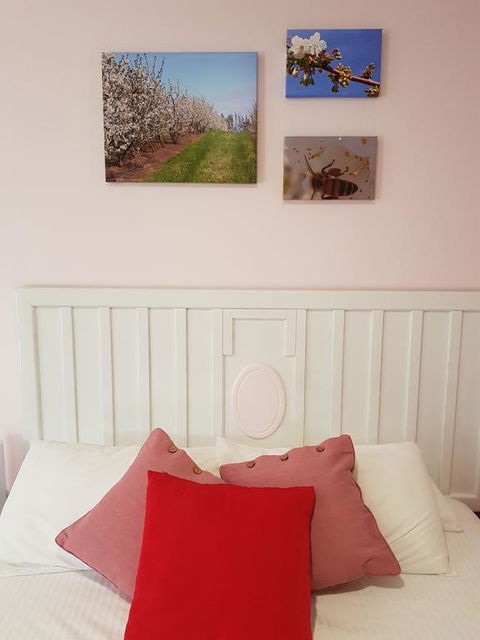 Town House Motor Inn Young - Accommodation Port Macquarie 1