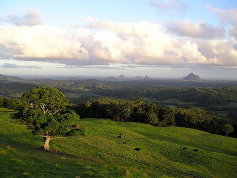 Tranquil Park - Accommodation Port Macquarie 0