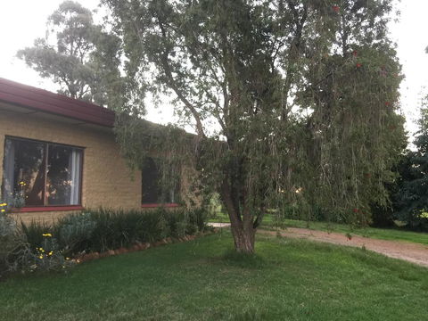 Tree Of Love Farm Stay - Accommodation Port Macquarie 1